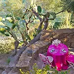 فيلة Rocce Rosse بانايا